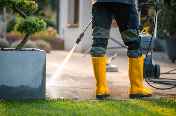 Best Local Pressure Washing Services  in Lake Forest, IL